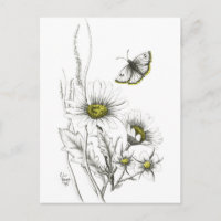 Cartes postales pour marguerites et papillons