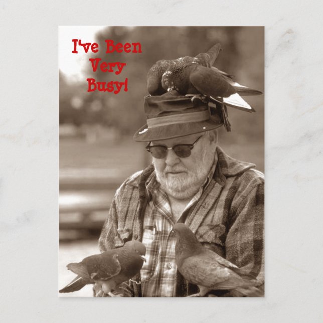 Cartes postales Salutations fun pigeons oiseaux su (Devant)