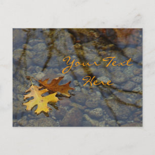 Cartes postales Sequoia