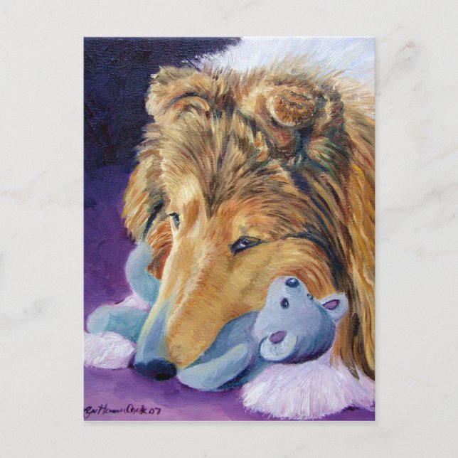 Cartes postales Shetland Sheepdog (Devant)