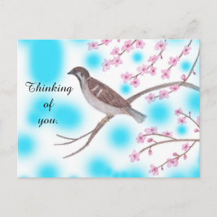 Cartes postales Sky Sparrow in Cherry Blossom Tree