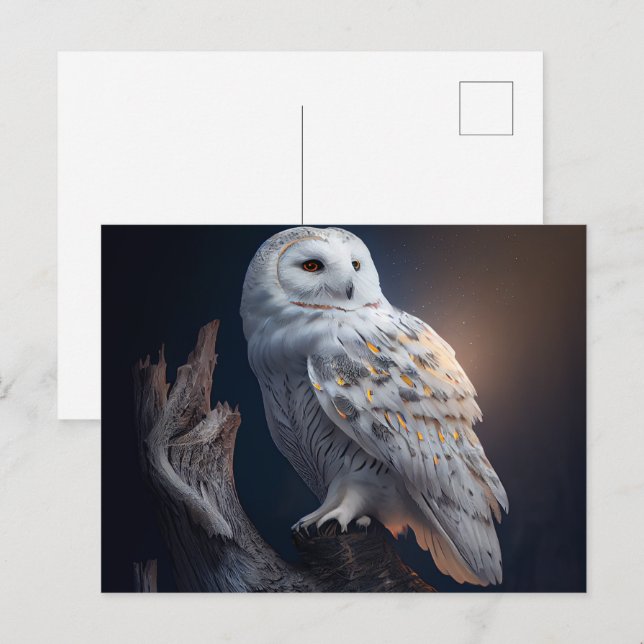 Cartes Postales snowy owl (Devant / Derrière)