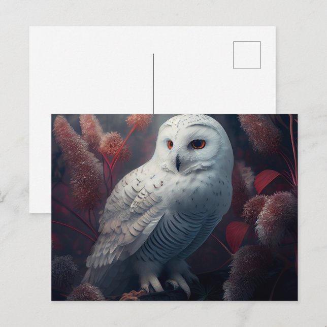 Cartes Postales snowy owl (Devant / Derrière)