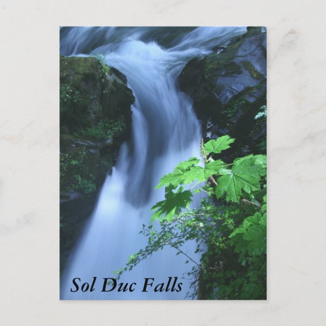 Cartes postales : Sol Duc Falls (Devant)