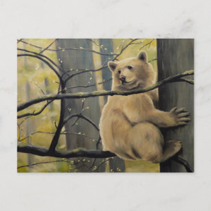 Cartes postales Spirit Bear Kermode Bear Cartes po
