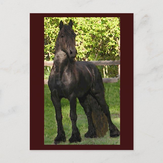 Cartes postales Stallion Peinture (Devant)