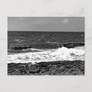 Cartes postales standard noir et blanc pour l'expé