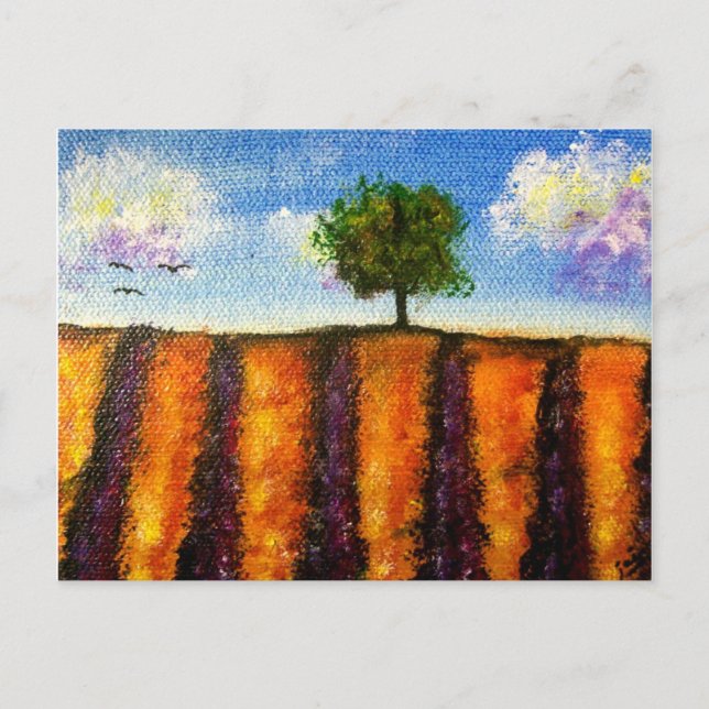 Cartes postales sur les champs de lavande (Devant)