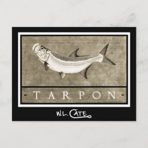 Cartes postales Tarpon Vintage noir et blanc