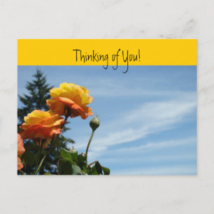 Cartes postales Thinking of You Orange Rose Garden