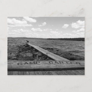 Cartes postales Tillie