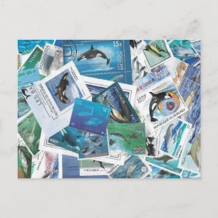 cartes postales timbres dauphins