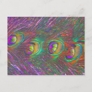 Cartes postales Tinsel Peacock