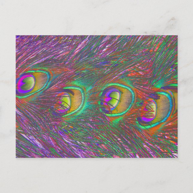 Cartes postales Tinsel Peacock (Devant)