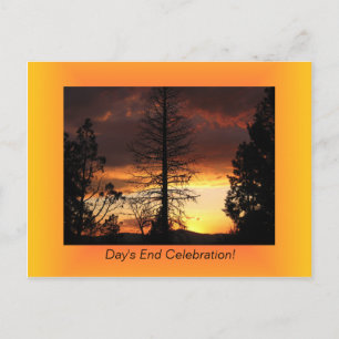 Cartes postales Tree Silhoutte Sunset