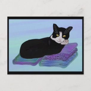 Cartes postales Tuxedo Cat Nap