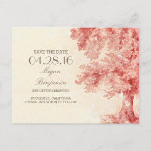 cartes postales vintage d'arbre ancien peint pour