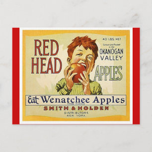Cartes postales vintage Red Head Washington Apples