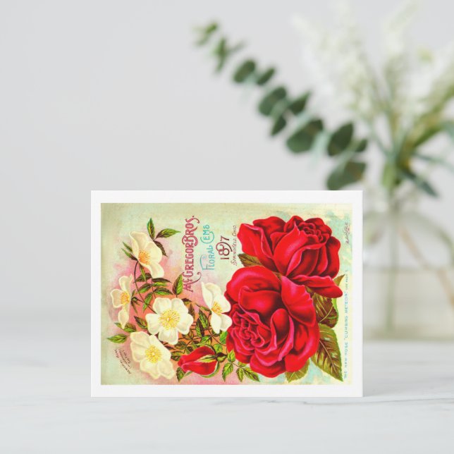 Cartes postales vintage Seed Packet. (Debout devant)