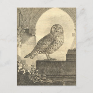 Cartes postales Vintages éffrayantes de la Chouett