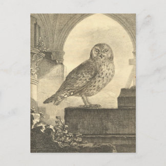 Cartes postales Vintages éffrayantes de la Chouett