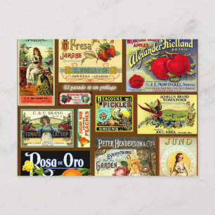 Cartes postales Vintages Étiquette de fruits