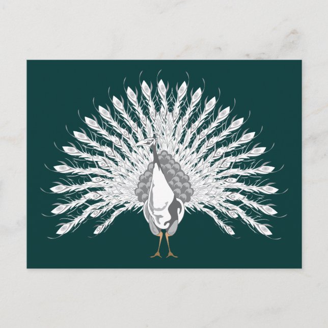Cartes postales White Peacock (Devant)