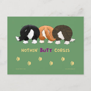 Cartes PostCards de Corgis de boutons