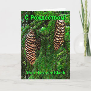 Cartes Pour Fêtes Annuelles С Р о ж д е с  т - Cônes Et Aiguilles