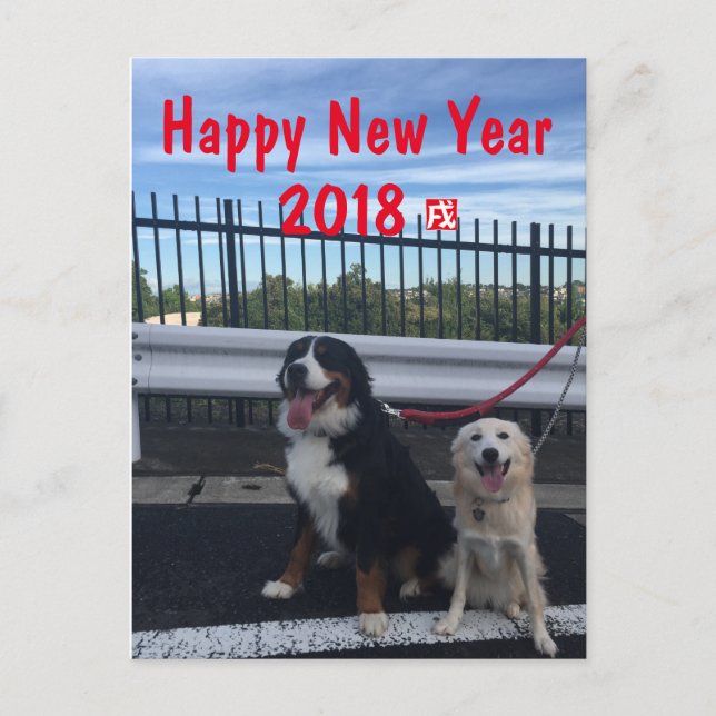 CARTES POUR FÊTES ANNUELLES バーニーズマウンテンドッグとワイルドミックスドッグ　年賀状　2018年　戌年 (Devant)