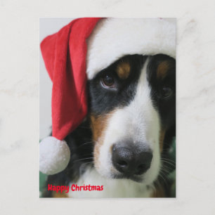 CARTES POUR FÊTES ANNUELLES ー ニ ー マ ズ ン ン テ     