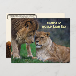 Cartes Pour Fêtes Annuelles 10 août, Journée mondiale des lions