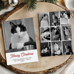 Cartes Pour Fêtes Annuelles 10 photos de chats Joyeux Noël félin