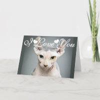 11 Sphinx Cat Photo Image I Love You
