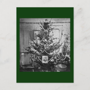 Cartes Pour Fêtes Annuelles 1800s victoriens d'arbre de Noël de Stereoview