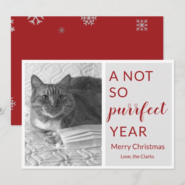 Cartes Pour Fêtes Annuelles 2020 Noël pas si parfait année drôle chat/animal (Devant / Derrière)