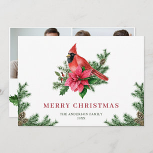 Cartes Pour Fêtes Annuelles 2 PHOTO Poinsettia Cardinal Rouge voeux de Noël