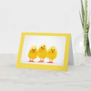 CARTES POUR FÊTES ANNUELLES "3 PETITS CHICKS" VOUS SOUHAITENT UN TRÈS "HEUREUX