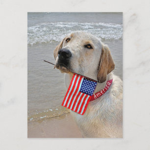 Cartes Pour Fêtes Annuelles 4 juillet Labrador Retriever avec drapeau