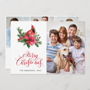 Cartes Pour Fêtes Annuelles 4 PHOTO Poinsettia Cardinal Rouge voeux de Noël