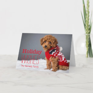 Cartes Pour Fêtes Annuelles A 10 week old toy poodle