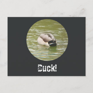 Cartes Pour Fêtes Annuelles A Ducking Duck Postcard