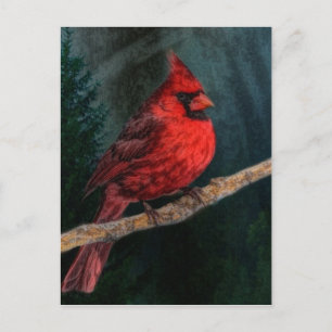 Cartes Pour Fêtes Annuelles À feuillage persistant hiver Noël primitif Cardina