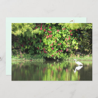 Cartes Pour Fêtes Annuelles A Great Egret Fishing in the Swamp