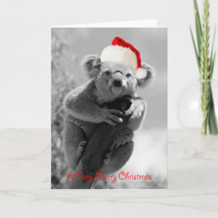 Cartes Pour Fêtes Annuelles A koala happy christmas