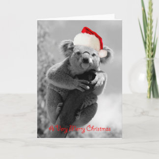 Cartes Pour Fêtes Annuelles A koala happy christmas