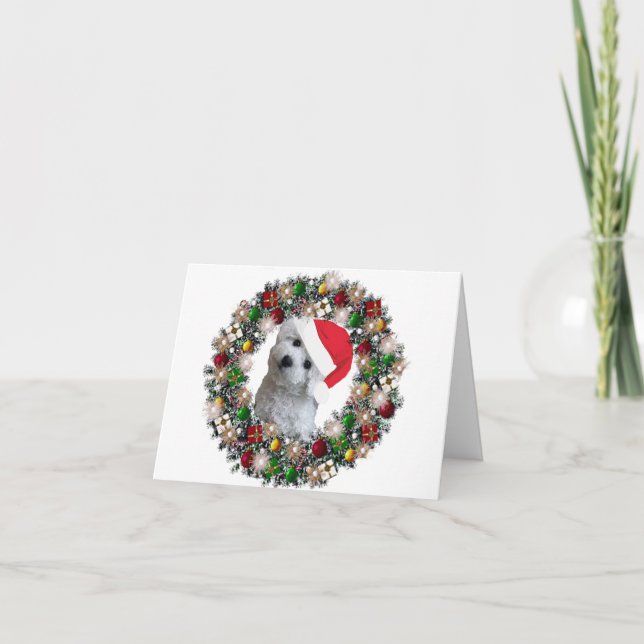 Cartes Pour Fêtes Annuelles À Noël - Bichon Frise (Devant)