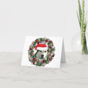 Cartes Pour Fêtes Annuelles À Noël - Malamute d'Alaska