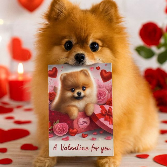 Cartes Pour Fêtes Annuelles A Valentine for You Cute Pomeranian Dog  (A charming Valentine's Day postcard designed for dog enthusiasts, featuring a delightful Pomeranian)