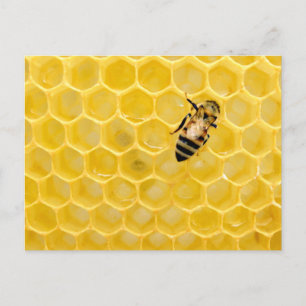 Cartes Pour Fêtes Annuelles abeille et nid d'abeille